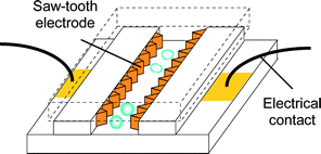 Schematics of a micro electroporation device for cell lysis. Only one set of electrodes is shown for simplicity.