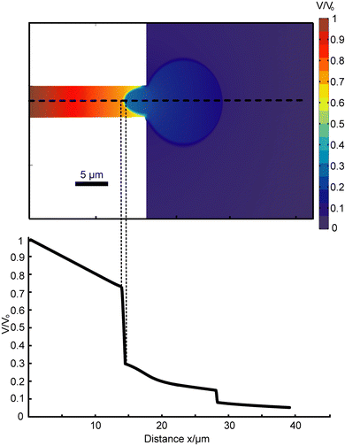 
            2D Femlab simulation. (a) Simulation result quantifies the greatest potential drop occurring across the first membrane, inside the channel. The area outside the channel can be approximated as electrical ground. By approximation from trapped cell images, the membrane surface area outside of the channel is about 80 times that of the membrane within the channel. Hence, in 3D actuality, the effect of localized electroporation is significantly stronger than is portrayed by this 2D simplified model. (b) Potential drop along midline (dotted line in a).