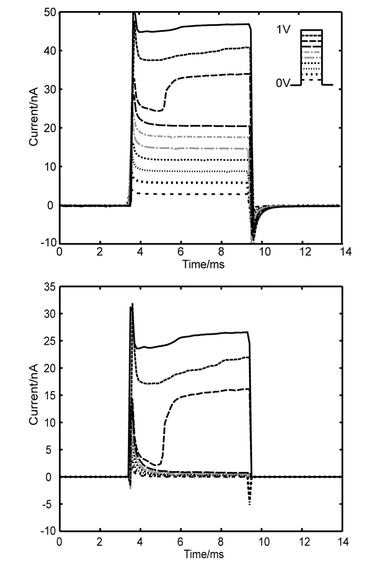 
              Electrical measurements. (a) Short (∼6.5 ms) square wave voltages from 0.1 V to 1 V (inset) are applied to the circuit and the resulting current is measured (currents taken sequentially and overlayed). Period between pulses is 40 ms. A significant jump in current is evident at 0.8 V in this typical current–time trace. The characteristic ‘jump’ in current is observed in 15 of the 17 cells. (b) The leak current Rleak is linear (initial traces in a) and subtracted from the measured current to isolate the current across the cell, Rcell.