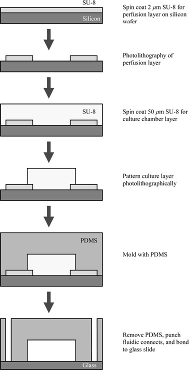 Flow diagram of fabrication process.