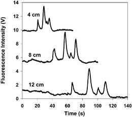 Free solution electrophoresis of four proteins denatured with an alkyl sulfate mixture. The separation was driven by 436 V cm−1 and the running buffer was 2.5 mM sodium borate + 0.14%(w/v) Pierce SDS. Fluorescence was detected at 4, 8 and 12 cm from the injection. The peaks were assigned as follows (12 cm): β-galactosidase (116 kDa, 67 s); conalbumin (78 kDa, 89 s); α-lactalbumin (14 kDa, 101 s); ovalbumin (45 kDa, 111 s).