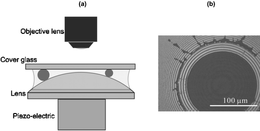 (a) Nano-gap produced between a flat glass coverslip and a plano-convex lens. Particles are trapped at a distance away from the centre of the lens that is related to their size; (b) photograph of trapped polystyrene particles with a diameter of 3 µm. Size measurement can be simply performed by counting the number of the stripes of the Newton rings.