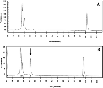 PCR results for 108 cfu mL−1B. globigii spores after laser illumination. (A)
					no laser illumination (negative control)
					(B)
					∼1 s laser illumination at 40 µJ cm−2. Peaks 1–5 correspond to lower sizing marker (15 bp), forward primer (19 bp), reverse primer (23 bp), B. globigii product (78 bp) and higher sizing marker (600 bp), respectively.