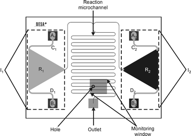 Outline of the chip used to prove the “monitoring window” principle. Each inlet loading system (Ix) consists of two inlet holes (Ax and Bx) connected to a reservoir (Rx) through channels Cx and Dx
						(with x
						= 1 and 2).