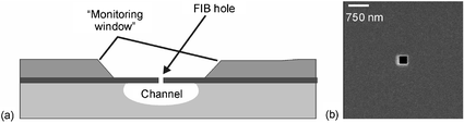 (a) Cross-section of the silicon–glass hybrid chip with a KOH etched “monitoring window” and a sampling hole above the HF microchannel. (b) SEM image of 250 × 250 nm sampling holes made by FIB in the doped silicon layer.