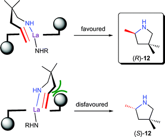 Stereomodel for enantioselective hydroamination/cyclisation of aminopentene 11 by 9 with an equatorial approach of the olefin.