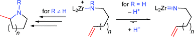 Reaction pathways for primary and secondary aminoalkenes with cationic zirconium catalysts (n = 1, 2).