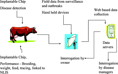 An ideal approach to real-time disease detection and surveillance.