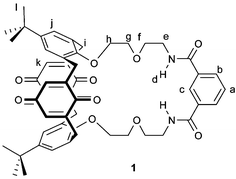 Ditopic calix[4]diquinone receptor 1.