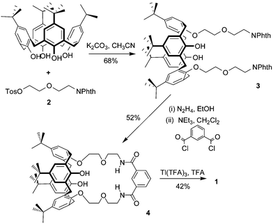 Formation of compound 1. Abbreviations used: Tos = tosylate, Phth = phthalimide.