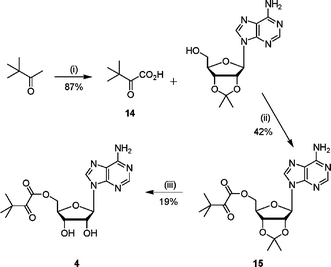 Reagents and conditions: (i) KMnO4, NaOH(aq), 0 °C, 1 h, 22 °C, 2 h; (ii) DCC, CH2Cl2, 16 h; (iii) TFA–H2O, 3 h.