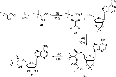 Reagents and conditions: (i) Pt–C, NaOH(aq), CH2CH2, O2(g), 70 °C, 5 h; (ii) ClCOCHCl2, 80 °C, 4 h; (iii) DEAD, PPh3, THF, 16 h; (iv) TFA–H2O, 3 h.