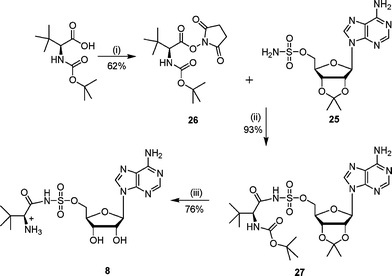 Reagents and conditions: (i) hydroxysuccinimide, DME, DCC, 0 °C, 15 h; (ii) DBU, DCM, 16 h; (iii) TFA–H2O, 16 h.