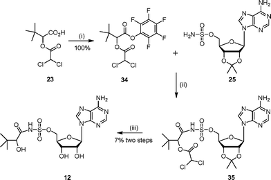 Reagents and conditions: (i) EDC, DMAP, CH2Cl2, HOC6F5, 15 h; (ii) DBU, DMF, 16 h (iii) TFA–H2O, 16 h.