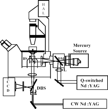 Schematic diagram of laser micromanipulation set up. For details see text.