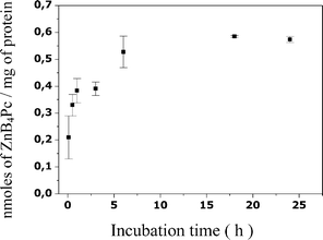 Recovery of ZnB4Pc from B16F1 melanotic melanoma cells as a function of the incubation time. Incubations were performed with 3 × 105 cells and 7 µM phthalocyanine and the recoveries (mean ± standard deviation of 3 separate experiments, each performed in triplicate) are expressed as nmol of ZnB4Pc per mg of cell protein.