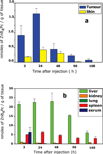 Time-dependence of ZnB4Pc distribution in (a) tumour and skin, and (b) selected normal tissues of C57BL/6 mice bearing a subcutaneously transplanted B16F1 melanotic melanoma. The mice were i.v.-injected with 3 mg kg−1 phthalocyanine and the histograms represent mean ± standard deviation of recoveries from at least 5 mice at each time point. 7 µM ZnB4Pc.