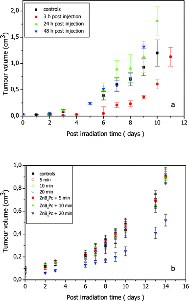 Tumour growth rate in C57BL/6 mice bearing a subcutaneously transplanted B16F1 melanotic melanoma that underwent PDT or BNCT treatment after injection of 3 mg kg−1 ZnB4Pc. (a) Irradiation with 600–700 nm light at a fluence-rate of 200 mW cm−2 and 3 h, 24 h and 48 h after photosensitizer injection; the growth rate is compared with that observed for uninjected and unirradiated control mice (five mice per group). (b) Irradiation with thermal neutrons for 5, 10 and 20 min 24 h after phthalocyanine injection; the growth rate is compared with that observed for uninjected and unirradiated control mice and mice irradiated for 5, 10 and 20 min in the absence of ZnB4Pc (four mice per group).