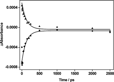 TRIR kinetic traces obtained at 1920 cm−1 (◆) and 1890 cm−1 (▲). Note all transient and parent bands decay/recover with the same lifetime (120 (±30) ps).