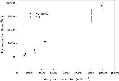 Feeding rates (F) of Boeckella antiqua on Rhodotorula minuta grown in PAR + UVR and dark as a function of initial yeast concentration (Experiment 1). Values are means (±SD) of two replicates. Differences in the feeding rates of B. antiqua between exposed and unexposed yeasts were not significant (t = 1.028, df = 8, P = 0.05, n = 12).