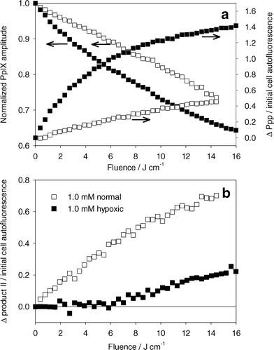 (a) Left axis: normalized PpIX photobleaching versus light dose for MLL cells incubated in 1.0 mM ALA for 4 h and treated with 635 nm light. Right axis: change in Ppp basis spectrum amplitude normalized to cell autofluorescence amplitude. (b) Change in product II basis spectrum amplitude normalized to initial cell autofluorescence basis spectra amplitude. PDT was done under well oxygenated (open symbols) or hypoxic (closed symbols) conditions.