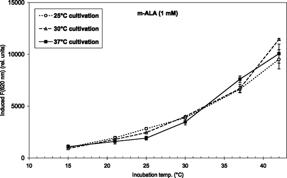 m-ALA-induced fluorescence at 620 nm from endogenous porphyrins after 4 h incubation (1 mM m-ALA) at temperatures between 15 and 42 °C. Prior to the incubation the bacteria were grown at 25 °C (7 days), 30 °C (5 days), or 37 °C (2–3 days) as indicated in the figure insert.