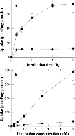 Uptake of P-H (●) and P-(Lys)n (■) as a function of the incubation time (A) and incubation concentration (B). In A, cells were incubated with 1 µM of porphyrin in FCS-supplemented EMEM. In B cells were incubated for 3 h in FCS-supplemented EMEM. Data are the mean of at least three independent experiments performed in triplicates.