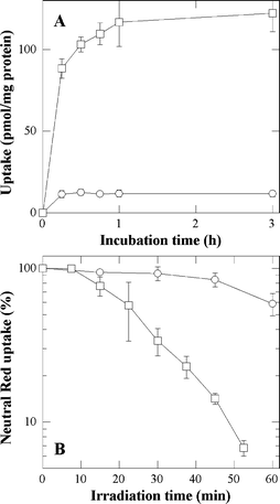 Uptake of P-H (○) and P-(Lys)n (□) as a function of the incubation time (A) and cytotoxic effects photosensitized by P-H (○) and P-(Lys)n (□) as a function of the irradiation time (B). In A, cells were incubated with 1 µM of porphyrin in HBSS. In B, cells were incubated with 5 µM of porphyrin in HBSS prior to irradiation. A Neutral Red uptake of 100% corresponds to sham-irradiated untreated cells. Data are the mean of at least three independent experiments performed in triplicates.