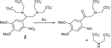 Overall reaction scheme for photolysis of DM-nitrophen 2, as expected for the conventional 2-nitrobenzyl cleavage process.