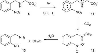 Proposed single electron transfer mechanism for photodecarboxylation of N-nitrobenzyl amino acids, as exemplified for 4. The route would apply also to para-nitro compounds.