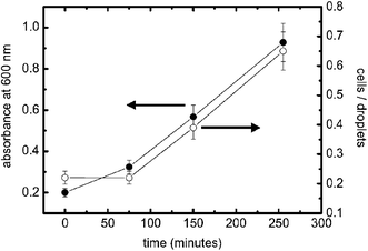 Growth curves of E. coli expressing the fluorophore ‘Venus’ analysed with standard turbidity (black circles) and within microdroplets (white circles). Cell density in bulk (measured at A 600 nm) and cell occupancy in droplets (number of cells/total number of droplets) show that the level of expressed fluorescent protein increases similarly over time, indicating that the measurement in droplets faithfully reflects the expression and growth state. To validate our results we measured each sample for more than 120 s using PBS–LB (1 : 1 v/v) only for the second inlet. The flow rate was 2.0 µl min−1 for the cell sample and 1.0 µl min−1 for the second inlet. Microdroplet data are calculated by averaging multiple droplet events.