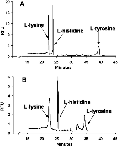 Comparison between IEF separation of amino acids in (A) capillary and (B) microchip. Valve actuation conditions for mobilization in microchip: actuation vacuum: 60 kPa; actuation pressure: 5 kPa.