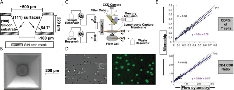 A low-cost LOC device for counting CD4+ lymphocytes. (A) Schematic representation of pyramidal wells in Si. (B) Scanning electron micrograph of single well with microbead. Reprinted from ref. 112 with permission from ACS publications. (C) Schematic representation of the device system. (D) (Left) Transmission image of membrane flow cell showing selective capture of lymphocytes. Holes are 3 µm in diameter. (Right) Fluorescent antibody staining of lymphocytes. (E) Results of cell counting from microchip versus flow cytometry. Reprinted from ref. 113.