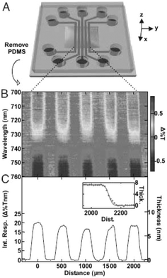 Label-free imaging of fibrinogen that is absorbed onto the surface of a plasmonic crystal. (A) The pattern of fibrinogen is formed using a microfluidic device with five parallel channels. (B) Spectroscopic difference image and (C) integrated response and corresponding thickness illustrating binding events in the geometry of the microfluidic channels. (Reproduced from ref. 3. Copyright 2006 National Academy of Sciences, USA.)