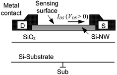 Si-NW device cross-section (not to scale). Drain (D) and source (S) contacts and electrical current IDS. The Si-NW is typically 20–50 nm.