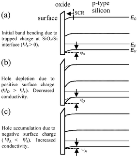 Qualitative band-bending diagrams for oxidized p-type Si-NW surfaces. (a) Initial bending due to SiO2/Si charge resulting in hole depletion, (b) negative surface charge at oxide surface resulting in increased hole depletion (decreased conductance), (c) positive surface charges leads to hole accumulation (increased conductance).