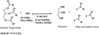 Conventional transesterification of TG for the production of biodiesel.