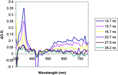 Transient absorption spectrum of D–C–A triad 1 (0.08 mM in MeCN) at room temperature in MeCN (λexc = 460 nm).