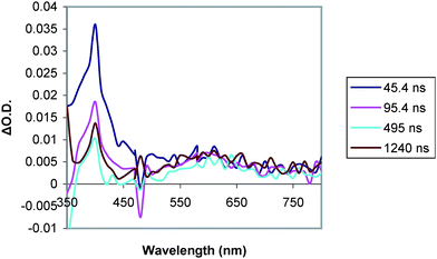 Transient absorption spectrum of D–C–A triad 1 (0.08 mM in MeCN) at room temperature in MeCN (λexc = 460 nm) taken on a longer timescale.