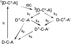 A schematic representation of the charge transfer events following excitation of D–C–A triad 1.