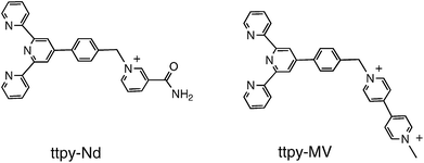 Ligands used to construct complexes 1–4.