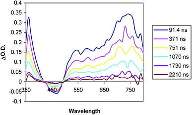 Transient absorption spectrum of C–A dyad 4 (0.08 mM in MeCN) at room temperature in MeCN (λexc = 440 nm).