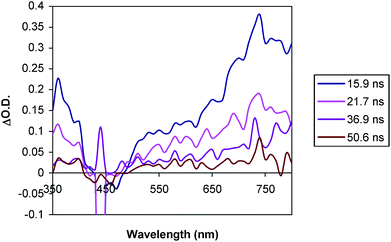 Transient absorption spectrum of C–A dyad 3 (0.08 mM in MeCN) at room temperature in MeCN (λexc = 440 nm).