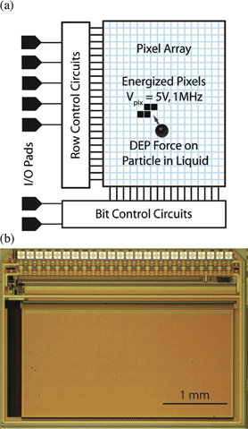 (a) DEP manipulator IC block diagram; (b) optical micrograph of the DEP IC.