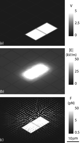 
            Finite element simulations of fields produced by the CMOS/microfluidic chip. (a) Electric potential of two energized pixels. (b) Resulting electric field magnitude 4 µm above the surface of the chip. (c) DEP force in the x–y plane acting on an 8 µm diameter cell in the microfluidic channel.