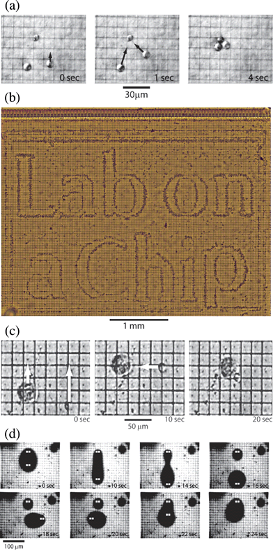 (a) Time sequence of the DEP manipulation of yeast cells. Pixels are energized in sequence to move first one cell alone and then all three together. The maximum speed of a yeast cell was approximately 30 µm sec–1. (b) Complex pattern of thousands of yeast cells patterned by DEP. Pixels across the array were energized to spell out “Lab on a Chip”, attracting cells toward the local maxima of the electric field. (c) Time sequence of yeast and rat alveolar macrophages manipulated with DEP. Pixels on the chip were energized to independently move the two cells and then bring them together. (d) Splitting, moving and combining water drops in oil with DEP. This time sequence shows a droplet of dyed water between a layer of fluorocarbon oil below and hydrocarbon oil above. The pixels energized with Vpix in each frame are highlighted in white.