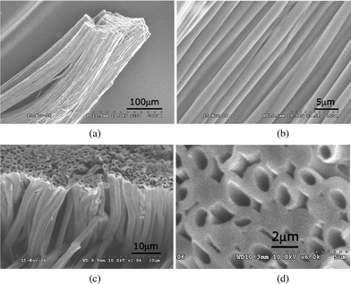 Typical SEM images of a bundle of carbon tubes made via co-electrospinning. Longitudinal views at low (a) and high (b) magnification; Low (c) and high (d) magnification cross-sectional views of the end of the bundle. The large gap shown in the top middle of (c) is a result of handling. Some non-hollow fibers seen in (d) could have been created by intermittent co-electrospinning, or could indicate tube ends crimped during cutting of the bundle. For this particular tube bundle, inner diameters measured from the images were in the range 1.1 ± 0.3 µm (mean value and standard deviation).