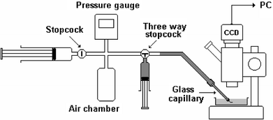 Sketch of the experimental setup.