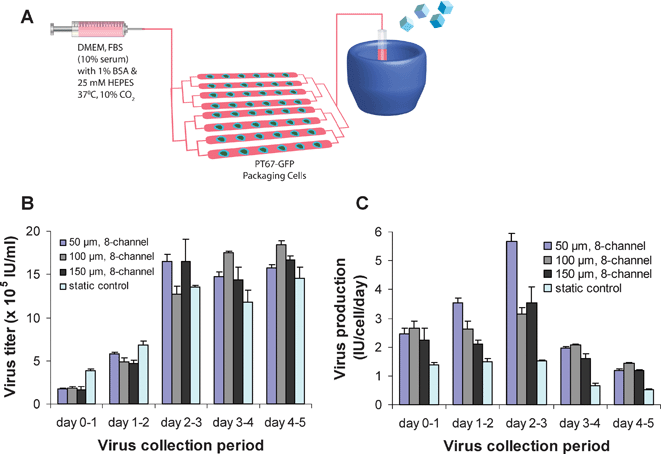 Virus production with downstream cold storage compartment. (A) Schematic of experimental setup for the incorporation of low temperature preservation for virus sample collection with the microdevices. (B) Virus titers and (C) virus production for the 50, 100, and 150 µm height microdevices with cold storage and the 6-well static control for 24 h collection periods over 5 days (n = 3; error bars represent standard deviation).