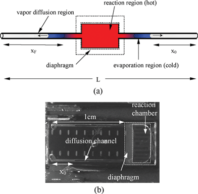 (a) Schematic of the long-armed device with thermal isolation. The color gradient conceptually represents the temperature gradient. The actual temperature gradient is shown in Figure 1(e)–(g) in ESI. (b) Picture of the microfabricated device.